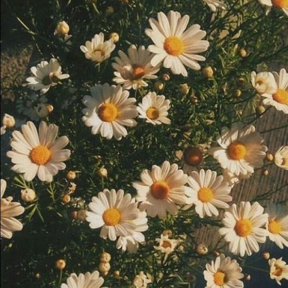 Spring Is Here!!